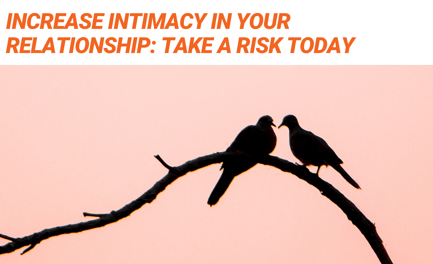 Orange text on a white background that reads "Increase Intimacy in your Relationship: Take a Risk Today" above a photo of two birds on a branch. We can see their silhouette against a pink sky.